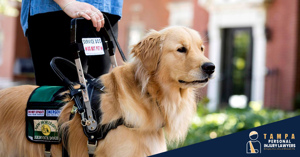 Service Dogs After a Personal Injury Accident in Tampa